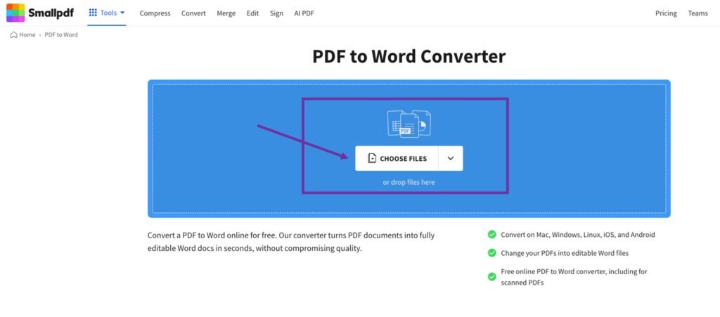 How to Use Grammarly for PDF Content?